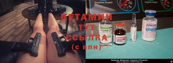 стаф Абаза