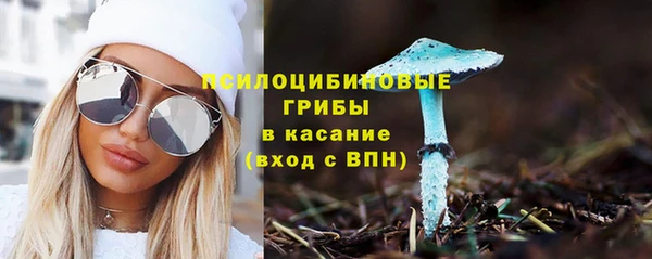 ПСИЛОЦИБИНОВЫЕ ГРИБЫ Алзамай