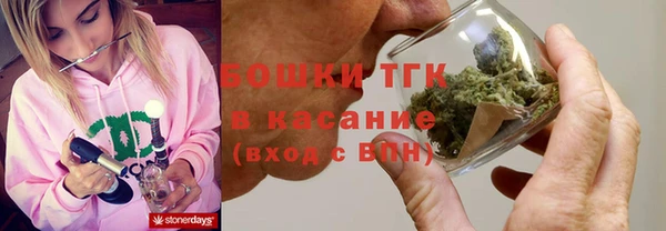 стаф Абаза