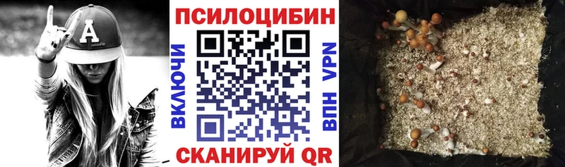 Псилоцибиновые грибы Psilocybine cubensis  Вилючинск 