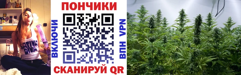 мориарти наркотические препараты Вилючинск Марихуана марихуана